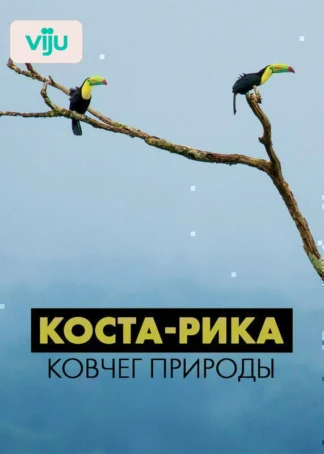 Коста-Рика: ковчег природы