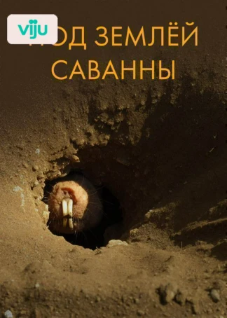 Под землей Саванны
