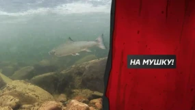 На Варзуге и ее притоках. Часть 1-я