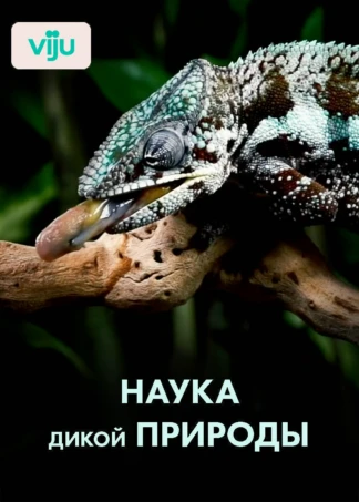 Наука дикой природы