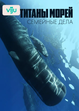 Титаны морей: семейные дела