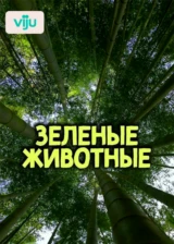 Зеленые Животные