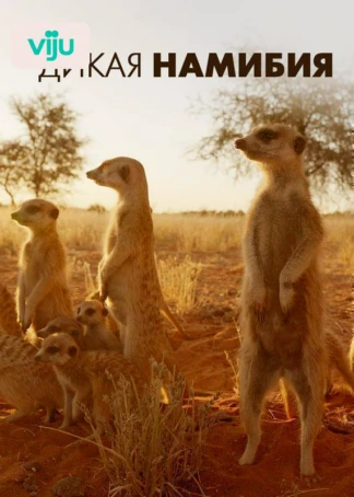 Дикая Намибия