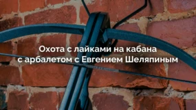 На кабана с луком