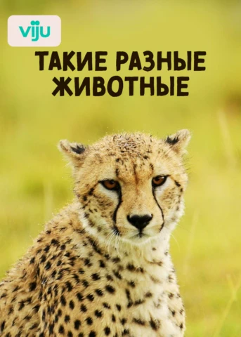 Царственные особы