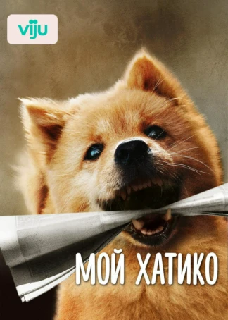 Мой Хатико