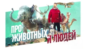 8-я серия