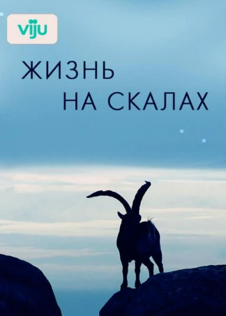 Жизнь на скалах