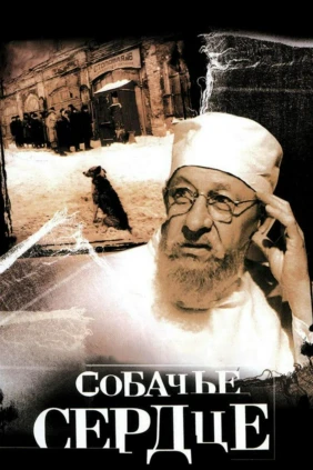 Собачье сердце
