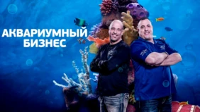 Трейлер 1