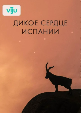 Дикое сердце Испании