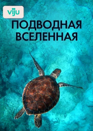 Подводная вселенная