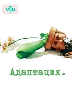 Адаптация