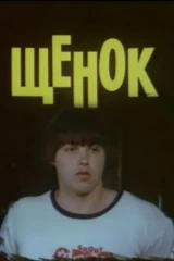 Щенок