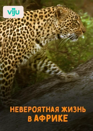 Невероятная жизнь в Африке