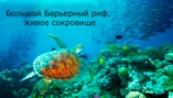Коралловые острова
