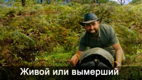 Трейлер 1