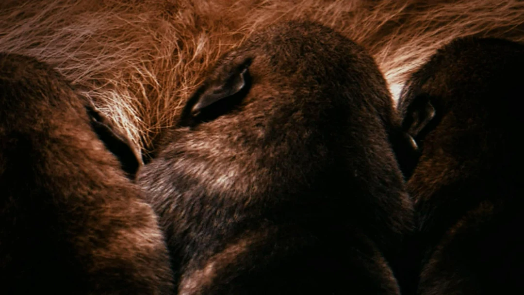 Фильм Это про любовь?