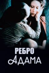 Ребро Адама