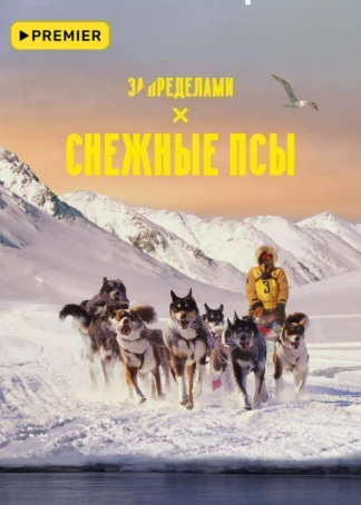 Снежные псы