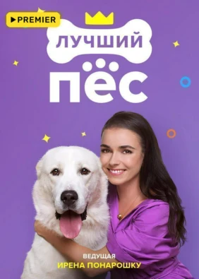 Лучший пёс
