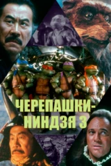 Черепашки-ниндзя 3