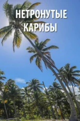 Дикие Карибы