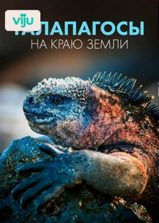 Галапагосы: На краю земли