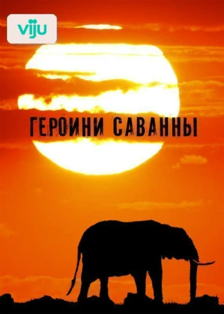 Героини Саванны