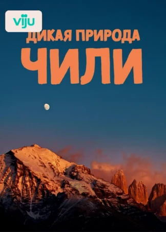 Дикая природа Чили