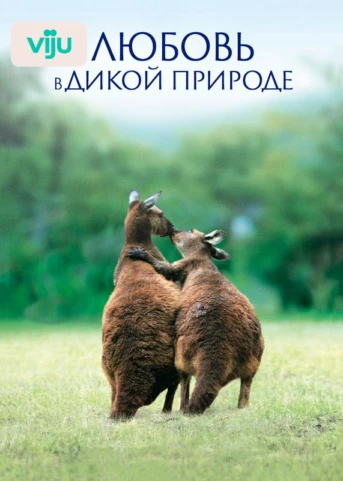 1 серия