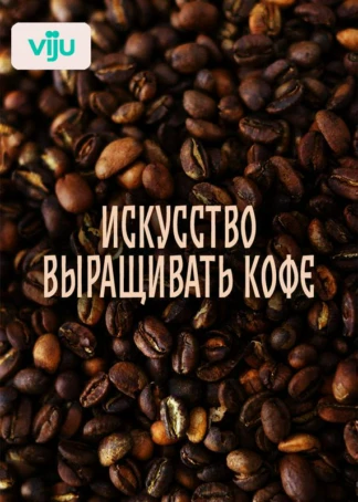 Искусство выращивать кофе