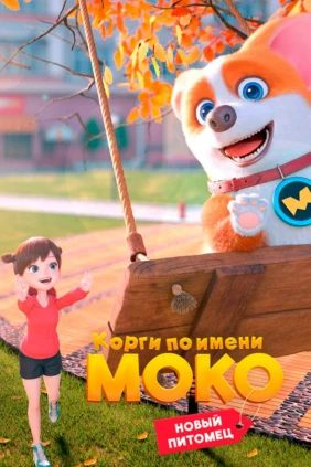Корги по имени Моко. Новый питомец