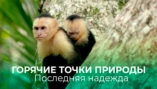 Борнео