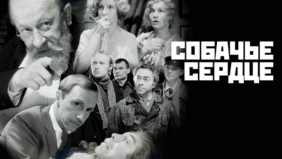 Трейлер 1