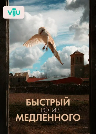 Быстрый против медленного