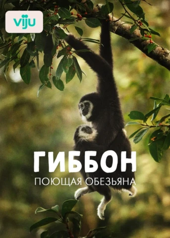 Серия 1