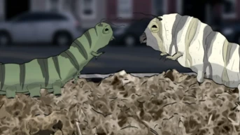 Голуби