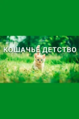 Истории котят