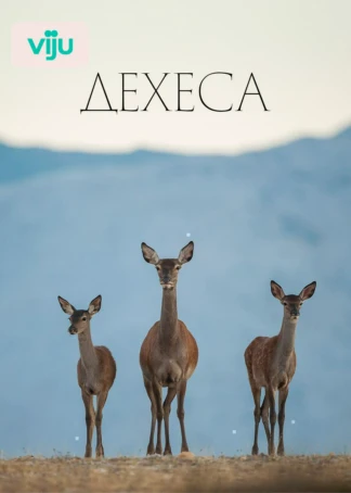 Дехеса