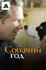 Собачий год