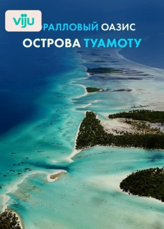 Коралловый оазис острова Туамоту