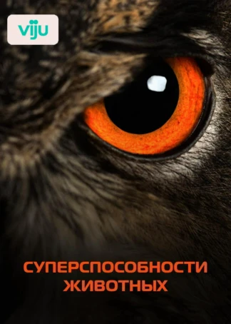 Суперспособности животных
