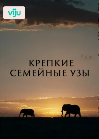 Природные семейные узы