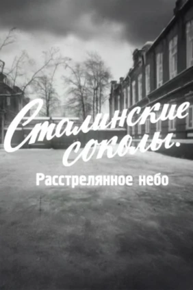 Сталинские соколы. Расстрелянное небо