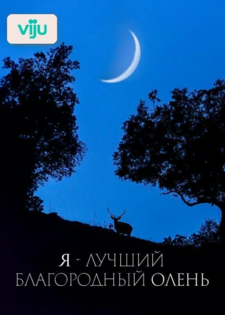 Я&nbsp;— лучший благородный олень