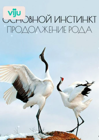 1 серия