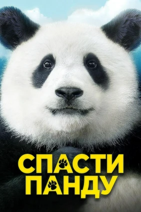 Спасти панду