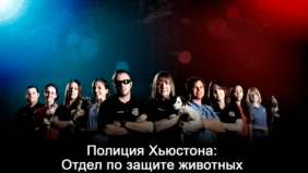 Трейлер 1