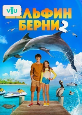 Дельфин Берни 2